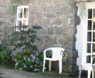 Pennywort Cottage - Manor Village - Herm