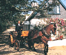 Ausflug mit der Pferdekutsche